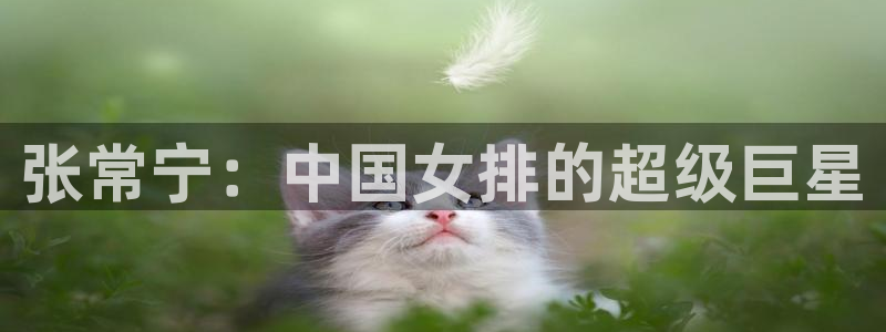 预选赛世界杯:张常宁:中国女排的超级巨星