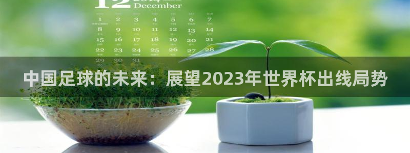 中国 世界杯:中国足球的未来:展望2023年世界杯出线局势