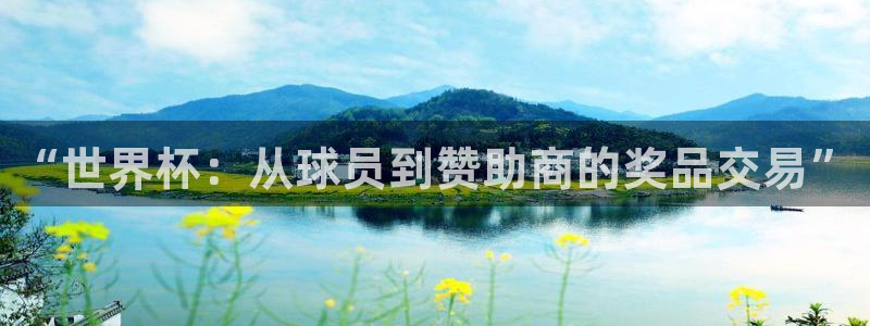 世界杯在线直播:“世界杯:从球员到赞助商的奖品交易”