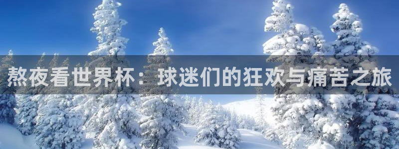 世界杯小组赛赛程:熬夜看世界杯:球迷们的狂欢与痛苦之旅