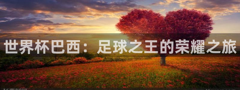 2026年世界杯赛程时间表格:世界杯巴西:足球之王的荣耀之旅