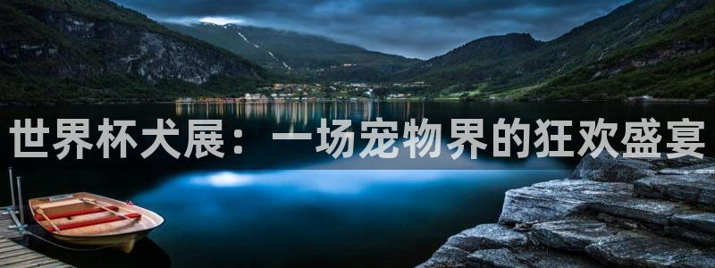 世界杯比赛:世界杯犬展:一场宠物界的狂欢盛宴