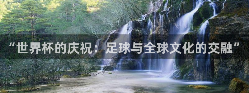 世界杯足球赛2026:“世界杯的庆祝:足球与全球文化的交融”