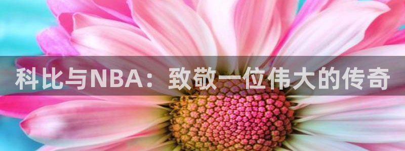 联赛杯直播:科比与NBA:致敬一位伟大的传奇